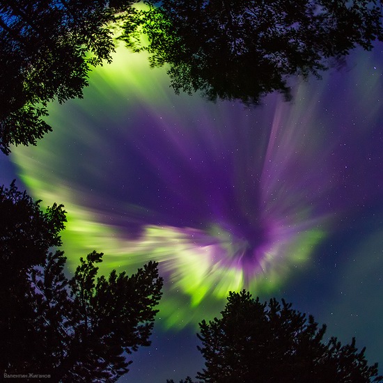 Northern lights in the sky over Murmansk region, Russia, photo 12